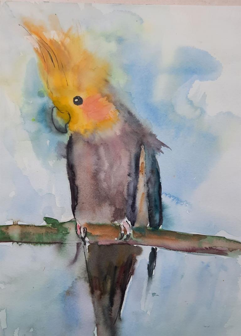 Christel Lehmkuhl Nymphensittich Aquarell