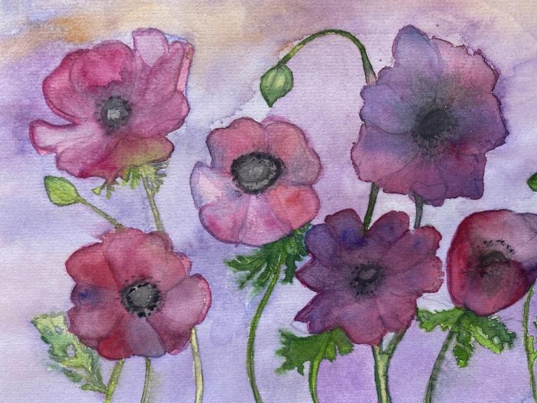 Susanne de Vries Lila Mohn Aquarell